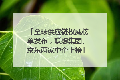全球供应链权威榜单发布，联想集团、京东两家中企上榜